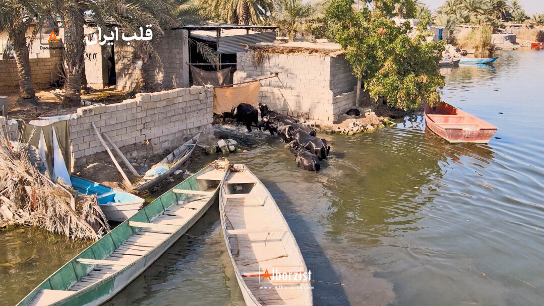 تالاب شادگان