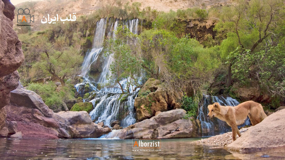 آبشار شوی